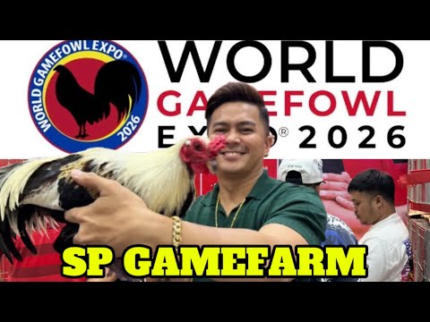 World Gamefowl Expo 2026 SP Gamefarm || Reggie Boi