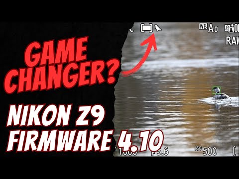 Nikon Z9 4.10 Firmware Testing - Game Changer for Bird Photography?