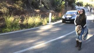 preview picture of video '43 subida al garbi 2012  3/3'