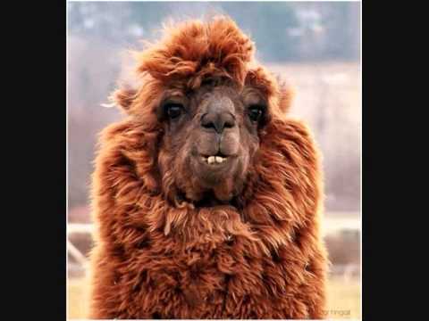 WNR #hot16 #Zajka wzg #bochyn