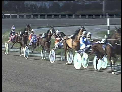 Trotto 12/01/2016 - 1° corsa