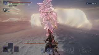 とある日のハルモニア戦【ELDEN RING NIGHTREIGN】