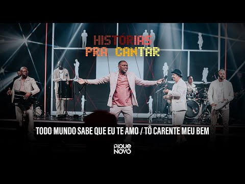 Todo Mundo Sabe Que Eu Te Amo - Pique Novo