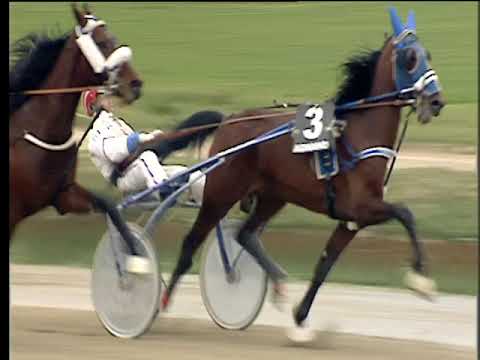 Trotto 04/03/2018 - 3ª corsa