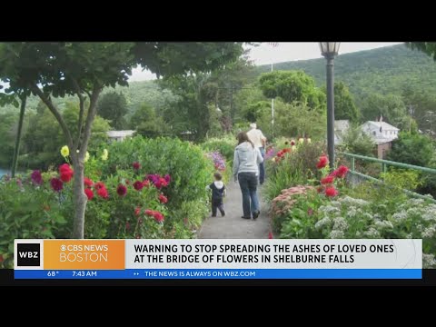 Shelburne Falls asks visitors to stop spreading ashes at Bridge of Flowers