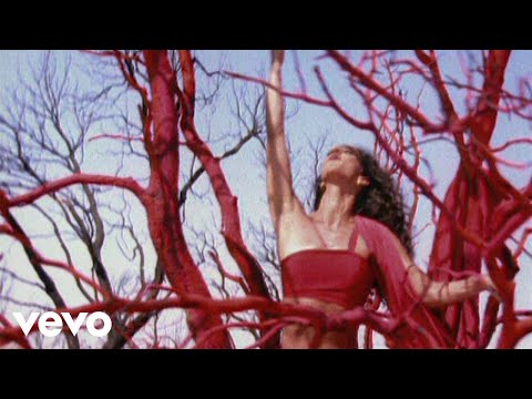 Rosario - Yo Te Dare (Videoclip)