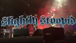 Higher Now - Slightly Stoopid featuring Chali 2NA