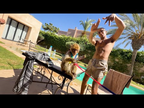 OGT - BENIHANA FREESTYLE