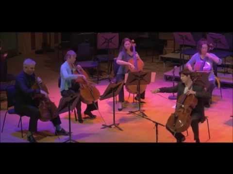 Haydn Cello Concerto C Major, 1st mvt: Cello Ireland, Daniel Mueller-Schott