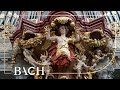 Bach - Ach, Gott und Herr BWV 714 - Jacobs | Netherlands Bach Society