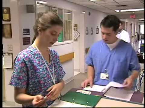 Understanding Corporate Compliance: What's Your Role?