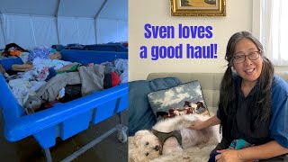Goodwill bins haul with Sven & me! Thrifted items for eBay, Poshmark, AND buy sell trade stores.