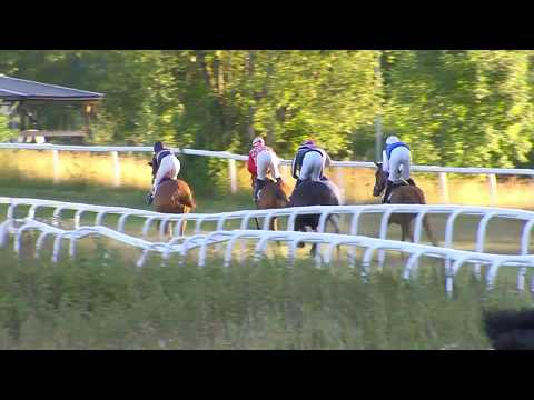 2018.08.02 Lanwades Stud Stakes (NOR) - Appelina