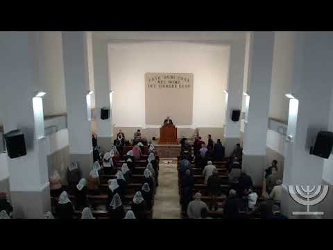 2021-05-02 Domenica Sera - Fr. Gemelli - Geremia cap 12 ver 1-6