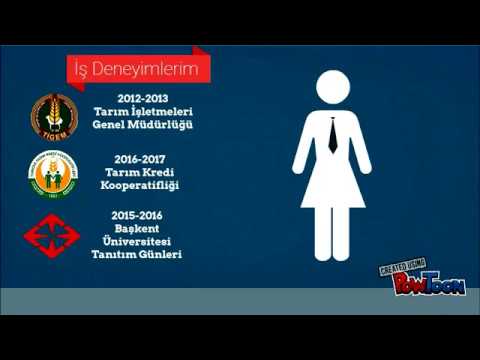 NUR SEDA ERTÜRK CV.