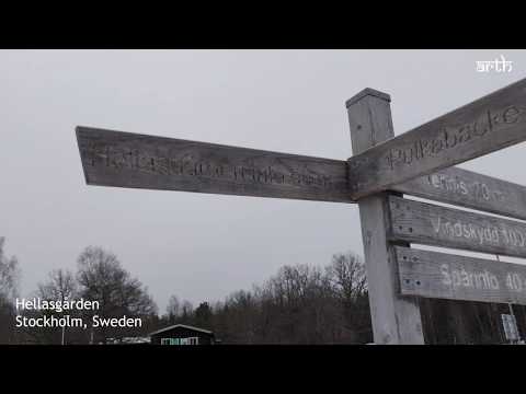 Ice bath in Hellasgården