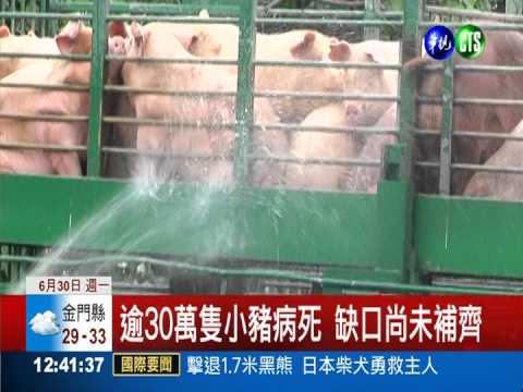 調節豬肉供應量 市場將加休2天