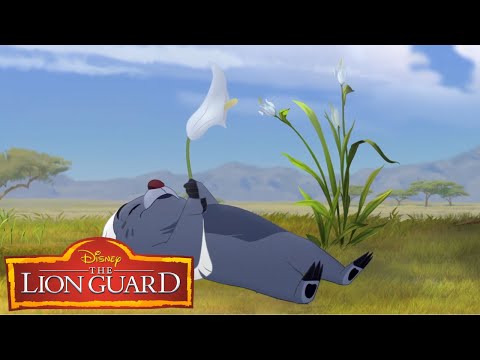 The Lion Guard - Bunga's Venom Bite I Part 2