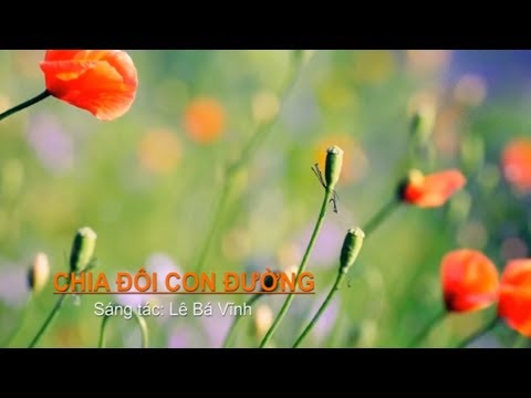 CHIA ĐÔI CON ĐƯỜNG Karaoke beat TONE NỮ