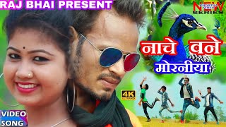 Nache Vane Moraniya by नाचे वने मोरनीया