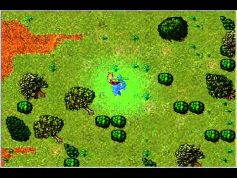 Tibia - The Old Widow