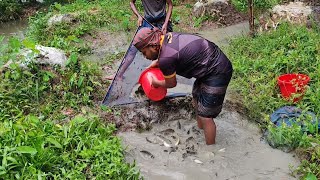 Download lagu Manual Fish Catching Technique 🐟 Traditional Village Fishing 🐟 Bangladeshi Rural Fishing Video mp3 Download lagu Manual Fish Catching Technique 🐟 Traditional Village Fishing 🐟 Bangladeshi Rural Fishing Video mp3