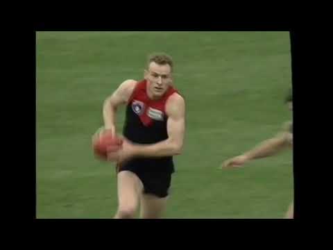 1993 AFL Round 15 Highlights