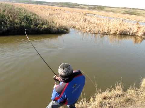Carp fishing 2, Regina SK
