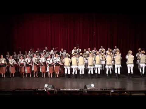 Ansamblul Folcloric Studentesc MARTISORUL - Dans de pe Valea Ariesului