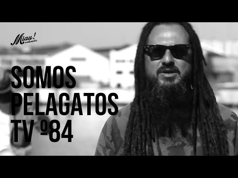 Somos PelaGatos TV - Prog 84 - Nonpalidece, Sean Paul, Ponto de Equilibrio, Dada Yute y más