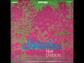BLUE PHANTOM DISTORSION Spider Records VSM 38543 1971 FULL ALBUM