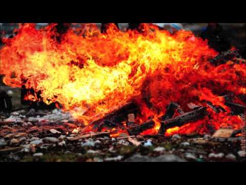 Where do good ideas come from?