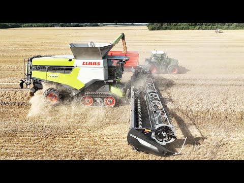Claas Lexion 8900 with 50 ft. Wide MacDon FD250 Header Harvesting Wheat | Big Harvest