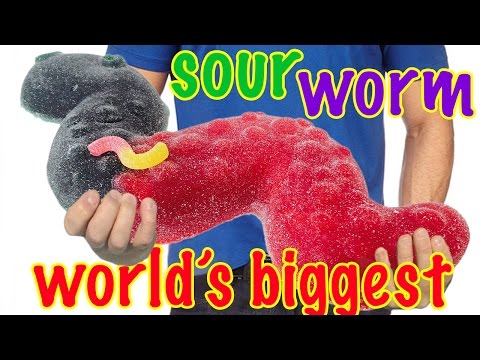 GIANT SOUR WORM RECIPE How To Cook That Ann Reardon