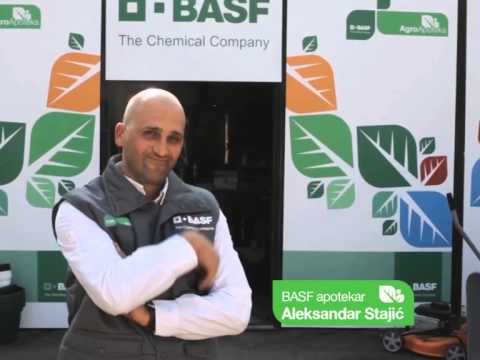 BASF AgroApoteka - Kelvin i Callam, Aleksandar Stajić