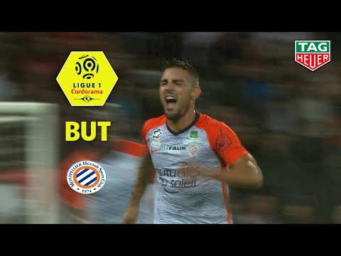 But Andy DELORT (30') / EA Guingamp - Montpellier Hérault SC (1-1)  (EAG-MHSC)/ 2018-19