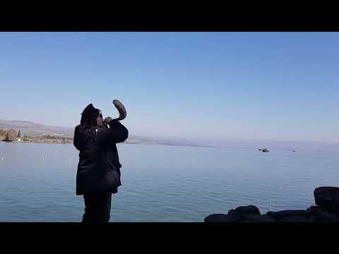 Psalm: 149. O  sing  unto the Lord  a new song./Hallelujah!praise the Lord. Sea of Galilee.