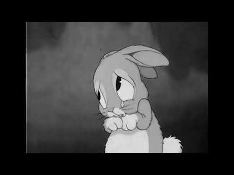 Rabb Khair Kare - DAANA PAANI (Slowed + Reverb)