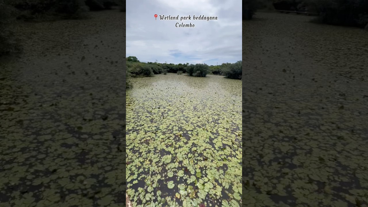 YouTube Short thumbnail