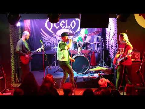 Kúrovec - KŮROVEC - Kůrovec - BOOMERANG CLUB