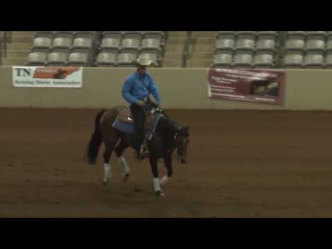 170519 Barry Haynes on Star Spangled Holly NH