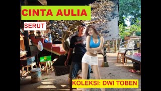 Download lagu #14 SERUT CINTA AULIA. KOLEKSI DWI TOBEN mp3