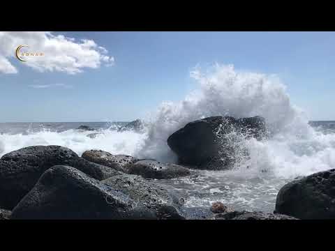 Có khi tôi như - Dzoãn Minh