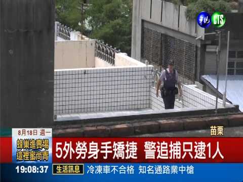 5外勞"飛簷走壁" 警狂追只逮1人