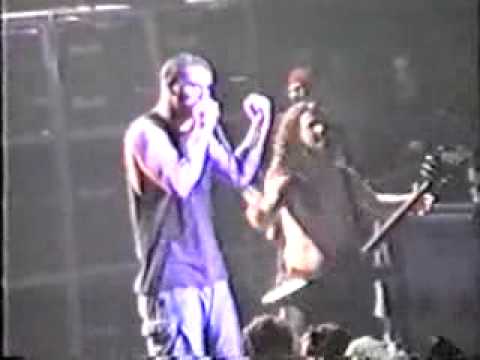 Pantera Live the Brixton Academy Part7