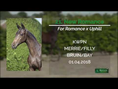 21 New Romance (For Romance x Uphill)
