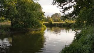 На Чугуївщині дачники самостійно розчистили Уди