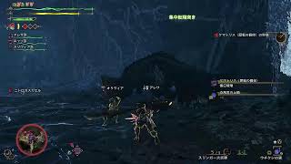 【スタートダッシュ遅れた】遥かなる深みへ【MH:ワイルズ】#7