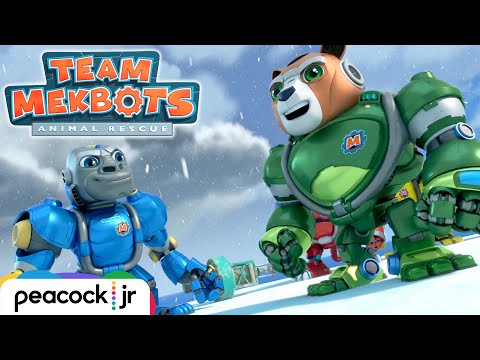 These Polar Bears are in Polar Peril! | TEAM MEKBOTS ANIMAL RESCUE