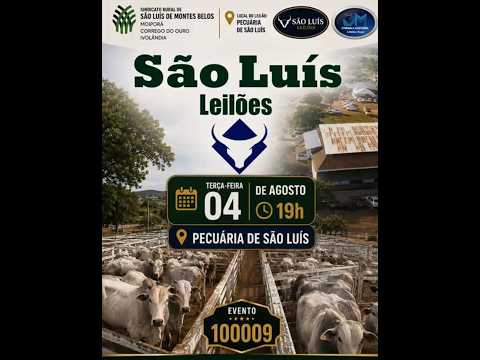 São Luís de Montes Belos  - GO   04/08/2026